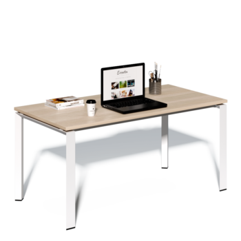 Escritorio Ex 120X60